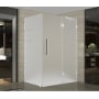 Aston 72" High x 39" Wide x 38" Deep Hinged Frameless Shower Enclosure with Frosted Glass and a Two Tiered Shelving System Stainless Steel