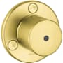Axor Uno Diverter Valve Trim Trio / Quattro with Metal Knob Handle Less Valve - Engineered in Germany, Limited Lifetime Warranty Brushed Gold Optic