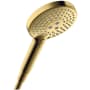 Polished Gold Optic