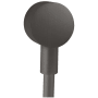 Brushed Black Chrome