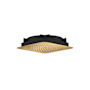 Axor Citterio C 1.75 GPM Single Function Flush Ceiling 11' Rain Shower Head - Less Rough In Brushed Gold Optic