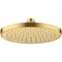 Axor ShowerSolutions 2.5 GPM Single Function Rain Shower Head Brushed Gold Optic