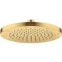 Axor ShowerSolutions 2.5 GPM Single Function Rain Shower Head Brushed Gold Optic
