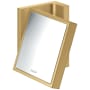 Axor Universal Rectangular 4-3/8" W x 4-3/8" H Modern Metal Framed Bathroom Wall Mirror Brushed Gold Optic
