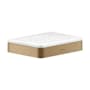 Axor Universal SoftSquare Soap Dish for Wall/Rail Installation - Engineered in Germany, Limited Lifetime Warranty Brushed Bronze