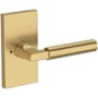 Baldwin Lake Forest Privacy Door Lever Set with Contemporary 5" Rose from the Reserve Collection Lifetime Satin Brass
