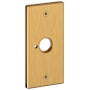 Baldwin R052 Rectangular Privacy Rosette Only from the Estate Collection - Single Lifetime Satin Brass