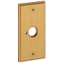 Lifetime Satin Brass