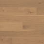 Bedrosians Sample Only of 1000017.587.5 Margaux