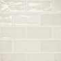 Bedrosians Sample Only of 1000032.55 Sand Dollar