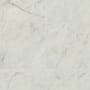 Bedrosians Sample Only of STPCL21224 Bianco Carrara