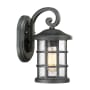 Bellevue Halifax Single Light 11" Tall Outdoor Lantern Style Wall Sconce with Seedy Glass Shade Earth Black