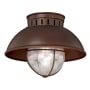 Bellevue Iker 10" Wide Outdoor Flush Mount Lantern Ceiling Fixture Burnished Bronze