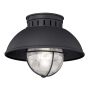 Bellevue Iker 10" Wide Outdoor Flush Mount Lantern Ceiling Fixture Textured Black