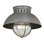 Bellevue Iker 10" Wide Outdoor Flush Mount Lantern Ceiling Fixture Textured Gray