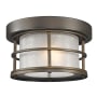 Bellevue Addie 10" Wide Flush Mount Drum Outdoor Ceiling Fixture Oil Rubbed Bronze