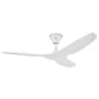 Big Ass Fans Haiku Coastal 52" Universal Mount 3 Blade Outdoor All Weather Fan White