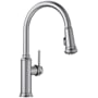 Blanco Empressa 1.5 GPM Single Hole Pull Down Kitchen Faucet Stainless Steel