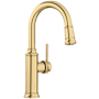 Blanco Empressa 1.5 GPM Single Hole Pull Down Bar Faucet Satin Gold