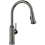 Blanco Empressa 1.5 GPM Single Hole Pull Down Kitchen Faucet Satin Dark Steel