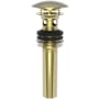 Brasstech Polished Dome Cap Drain with Overflow Uncoated Polished Brass (Living)