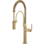 Brizo Litze 1.8 GPM Single Hole Pull Down Kitchen Faucet Luxe Gold