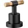 Brizo Litze Lever Handles for Roman Tub Faucet Matte Black / Luxe Gold