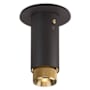 Graphite / Brass