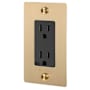 Buster + Punch 15 Ampere Electrical Outlet with Logo Brass