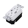 Buster + Punch US Electricity 15 Ampere Electrical Outlet with USB-A and USB-C White