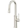 Polished Nickel