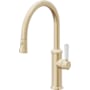 Satin Brass
