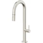 Polished Nickel