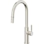 Polished Nickel