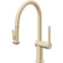 California Faucets La Spezia 1.8 GPM Single Hole Pull Down Kitchen Faucet Satin Brass