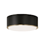 Capital Lighting Carlton 16" Wide Flush Mount Ceiling Fixture Matte Brass / Black