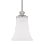 Brushed Nickel