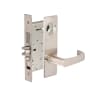 Satin Stainless Steel