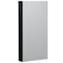 CRAFT + MAIN 15" Single Door Mirrored Medicine Cabinet with Slow Close Hinges Black