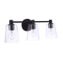 Craftmade Emilio 3 Light 24" Wide Vanity Light with Clear Glass Shades Flat Black