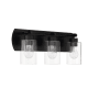 Craftmade Hendrix 3 Light 21" Wide Vanity Light Flat Black