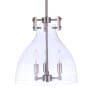 Craftmade Chardonnay 3 Light 14" Wide Pendant with Clear Glass Shade Brushed Polished Nickel
