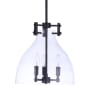 Craftmade Chardonnay 3 Light 14" Wide Pendant with Clear Glass Shade Flat Black