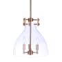 Craftmade Chardonnay 3 Light 14" Wide Pendant with Clear Glass Shade Satin Brass