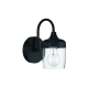 Craftmade Wrenn 10" Tall Bathroom Sconce Flat Black