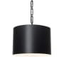 Crystorama Lighting Group Alston 6 Light 20" Wide Pendant with Steel Shade Matte Black / White