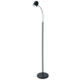 Dainolite Single Light 53" Tall Integrated LED Gooseneck Floor Lamp Black