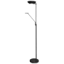 Dainolite 2 Light 72" Tall Integrated LED Dual Function Floor Lamp Black