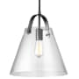 Dainolite 13" Wide Pendant Black