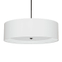 Dainolite Helena 4 Light 30" Wide Pendant Matte Black